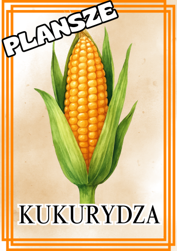 Dary Jesieni - Plansze z ilustracjami i napisami  