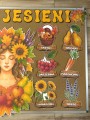 Jesień - Dary Jesieni - Gazetka wzór 2
