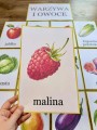 Plansze z Ilustracjami - Owoce i Warzywa