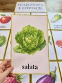 Plansze z Ilustracjami - Owoce i Warzywa