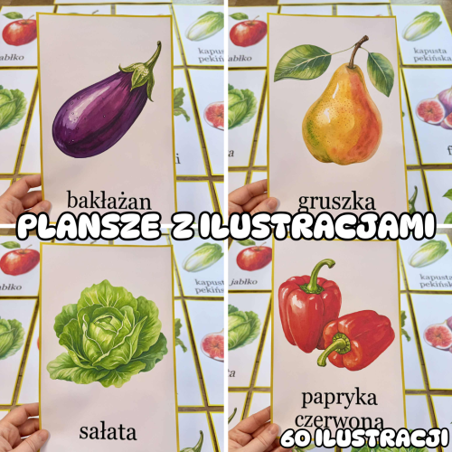 Owoce i Warzywa - Plansze z Ilustracjami   