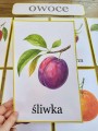Plansze z Ilustracjami - Owoce i Warzywa