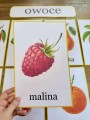 Plansze z Ilustracjami - Owoce i Warzywa