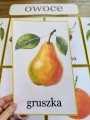 Plansze z Ilustracjami - Owoce i Warzywa
