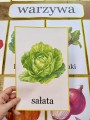 Plansze z Ilustracjami - Owoce i Warzywa