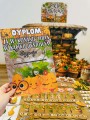 Dzień Dyni- Kącik z Zabawami / Ćwiczeniami