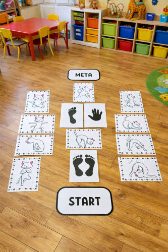 Dzień Kota - Ścieżka gimnastyczna  