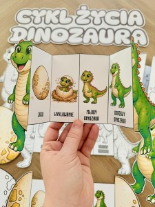 Cykl Życia Dinozaura - Książeczki Rozkładane Kolorowe / Biało Czarne - Dzień Dinozaura  