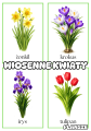 Wiosenne Kwiaty - Plansze - Wiosna