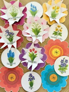 Co Kryje Kwiatek ?  WIOSENNE KWIATY  - ( wersja kolorowa )  - Wiosna  