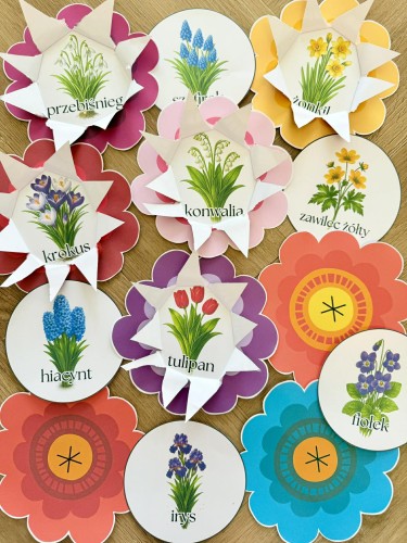 Co Kryje Kwiatek ?  WIOSENNE KWIATY  - ( wersja kolorowa )  - Wiosna  