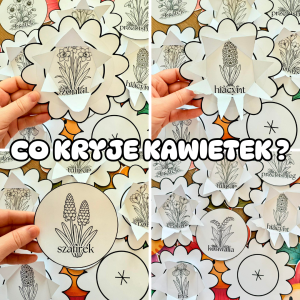 Co Kryje Kwiatek ?  - ( wersja biało  - czarna )  - Wiosna 