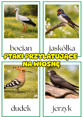 Ptaki Przylatujące Na  Wiosnę - Plansze - Wiosna