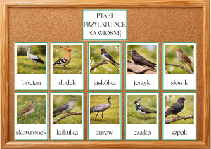 Ptaki Przylatujące Na  Wiosnę - Plansze - Wiosna 
