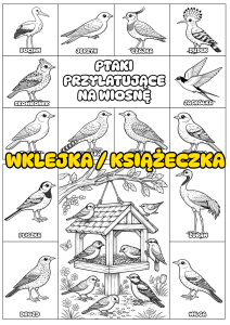 Ptaki Przylatujące na Wiosnę - Wklejka / Książeczka Składana - Wiosna