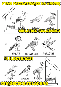 Ptaki Przylatujące Na Wiosnę - Wklejka / Książeczka Składana