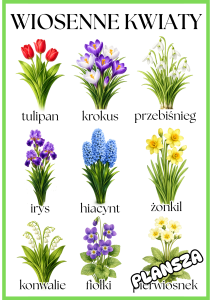 Wiosenne Kwiaty - Plansze - Wiosna 