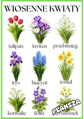Wiosenne Kwiaty - Plansze - Wiosna 