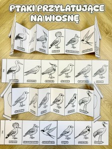 Ptaki Przylatujące Na Wiosnę - Wklejka / Książeczka Składana