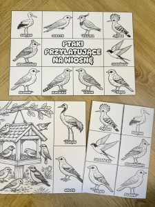 Ptaki Przylatujące na Wiosnę - Wklejka / Książeczka Składana - Wiosna 