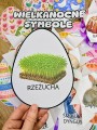 Co kryje pisanka ? Wielkanocne Symbole  ( wersja kolorowa ) Wielkanoc    