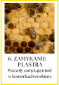 Jak Powstaje Miód- Plansze- Dzień Pszczoły
