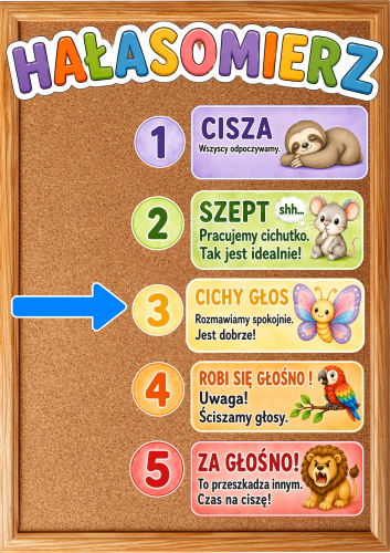 Hałasomierz ( wzór 2)  