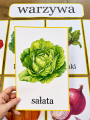 Plansze z Ilustracjami - Owoce i Warzywa