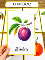 Plansze z Ilustracjami - Owoce i Warzywa