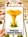 Grzyby - Plansze z ilustracjami i napisami  