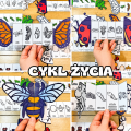 Cykl Życia Zwierząt - Książeczki Rozkładane ( kolorowe / biało - czarne)