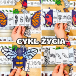 Cykl Życia Zwierząt - Książeczki Rozkładane ( kolorowe / biało - czarne)