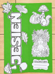 Jesień  Lapbook  / Jesienny Lapbook
