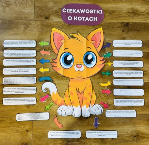 Dzień Kota - Ciekawostki