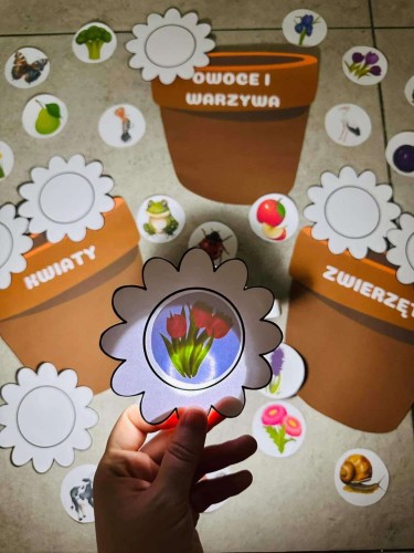 Zabawa z latarką/ Sortowanie - Wiosna