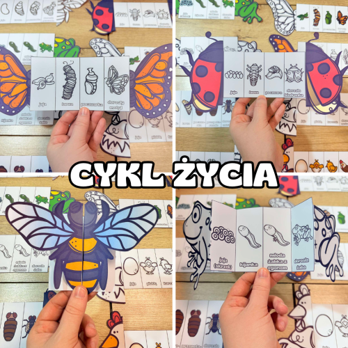 Wiosna- Cykl Życia Zwierząt 