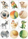  Zwierzęta- Znajdź na obrazku - kółeczka  