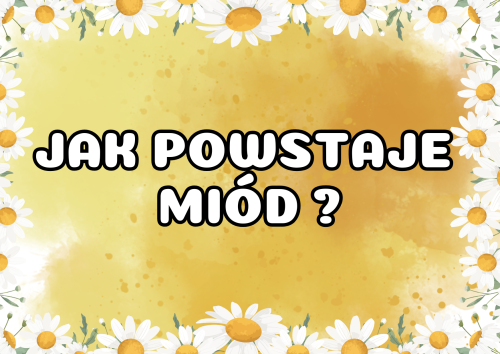 Dzień Pszczoły - Jak Powstaje Miód? - Plansze