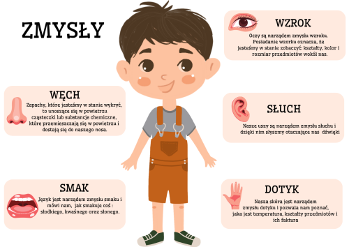Zmysły- Plansze do dopasowania PL