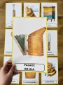 Dzień Pszczoły - Plansze z ilustracjami i nazwami