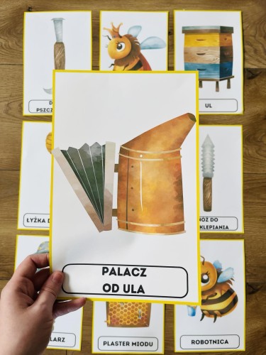 Dzień Pszczoły - Plansze z ilustracjami i nazwami