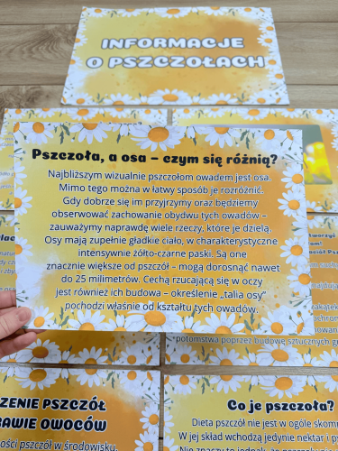 Dzień Pszczoły- Plansze z Informacjami  