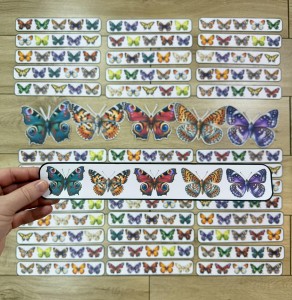 Lato - Motyle - Sekwencje 