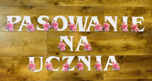 Pasowanie na. ucznia/ przedszkolaka/ żłobkowicza- Girlanda biała z polskimi znakami (cały alfabet)  