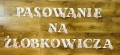 Pasowanie Na Żłobkowicza - Napis / Girlanda  wzór 2