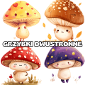 Grzybki/ Grzyby - Dwustronne Dekoracje na Drzwi/ Okna 
