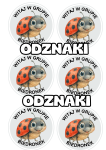 Biedronki - Witajcie w Grupie - Odznaki / Medale