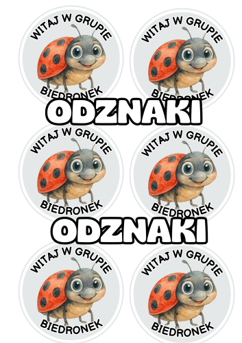 Biedronki - Witajcie w Grupie - Odznaki / Medale