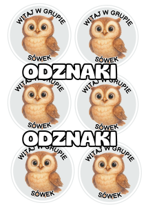 Sowy - Witajcie w Grupie - Odznaki / Medale                 