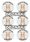 Zajączki - Witajcie w Grupie - Odznaki / Medale           